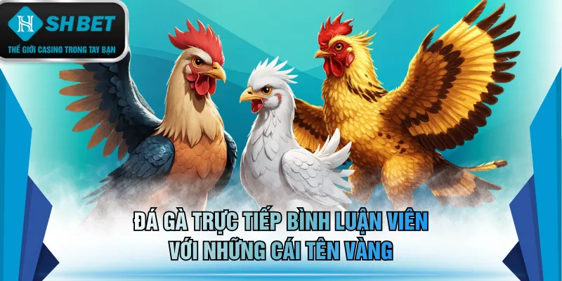 Đá gà trực tiếp bình luận viên với những cái tên vàng