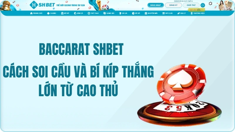 Baccarat SHBET: Cách Soi Cầu Và Bí Kíp Thắng Lớn Từ Cao Thủ